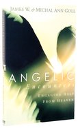 Angelic Encounters Paperback