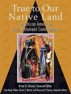 True to Our Native Land Hardback