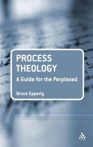 Process Theology (Guides For The Perplexed Series) Process Theology (Guides For The Perplexed Series)