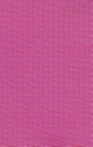 NIV Sleek & Chic Posh Pink Bible (Red Letter Edition) NIV Sleek & Chic Posh Pink Bible (Red Letter Edition)