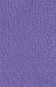 NIV Sleek & Chic Plum Attraction Bible (Red Letter Edition) NIV Sleek & Chic Plum Attraction Bible (Red Letter Edition)