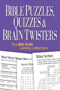 Bible Puzzles, Quizzes and Brain Twisters Spiral