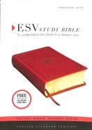 ESV Study Bible Personal Size Saddle Ornament Design (Black Letter Edition) Imitation Leather