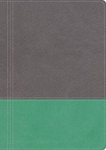 NKJV Modern Life Study Bible, the Leathersoft Dove Gray/Lagoon Green NKJV Modern Life Study Bible, the Leathersoft Dove Gray/Lagoon Green