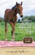 Southern Belle's Special Gift (Formerly Trouble Times Two) (#03 in Keystone Stables Series) Paperback
