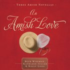 An Amish Love eAudio