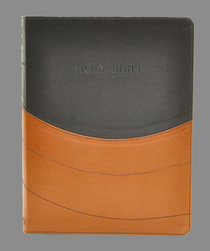 NIV Ministry Essentials Bible Black/Brown NIV Ministry Essentials Bible Black/Brown