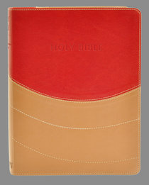 NIV Ministry Essentials Bible Brick Red/Sand NIV Ministry Essentials Bible Brick Red/Sand