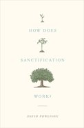 How Does Sanctification Work? Paperback