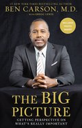 The Big Picture eBook