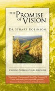 The Promise of Vision Paperback