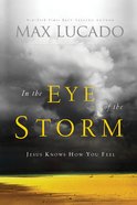 In the Eye of the Storm eBook