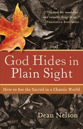 God Hides in Plain Sight eBook
