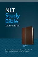 NLT Study Bible Brown/Slate (Red Letter Edition) Imitation Leather