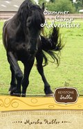 Summer Camp Adventure (Formerly Teamwork At Camp Tioga) (#04 in Keystone Stables Series) Paperback