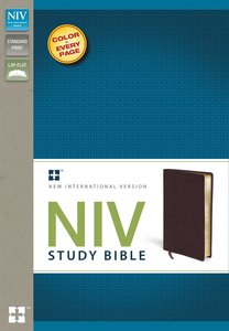 NIV Study Bible Regular Burgundy (Red Letter Edition) NIV Study Bible Regular Burgundy (Red Letter Edition)