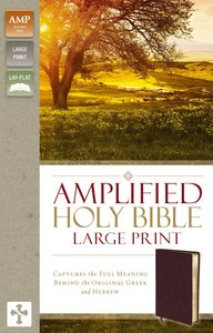 Amplified Holy Bible Large Print Burgundy Amplified Holy Bible Large Print Burgundy