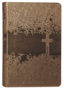 NIV Kids Visual Study Bible Bronze Full Colour Interior NIV Kids Visual Study Bible Bronze Full Colour Interior