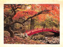 Boxed Cards: Sojourn of the Soul, Japanese Garden Boxed Cards: Sojourn of the Soul, Japanese Garden