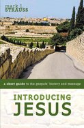 Introducing Jesus: A Short Guide to the Gospels' History and Message Paperback