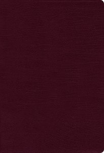 NIV Thinline Bible Burgundy Indexed Red Letter Edition NIV Thinline Bible Burgundy Indexed Red Letter Edition