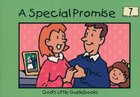 A Special Promise (#07 in God's Little Guidebooks Series) Paperback