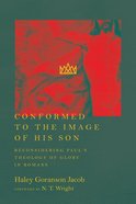 Conformed to the Image of His Son: Reconsidering Paul's Theology of Glory in Romans eBook