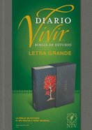 Ntv Biblia De Estudio Del Diario Vivir Letra Grande Gray (Red Letter Edition) Fabric Over Hardback