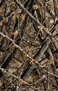 NIV Outdoorsman Bible Lost Camo Edition (Red Letter Edition) NIV Outdoorsman Bible Lost Camo Edition (Red Letter Edition)