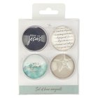 Glass Magnets Set of 4: I Will Give You Rest Novelty