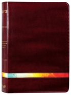 NIV Rainbow Study Bible Maroon Imitation Leather