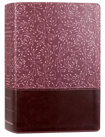 NRSV Cultural Backgrounds Study Bible Burgundy NRSV Cultural Backgrounds Study Bible Burgundy