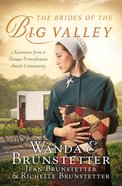The Brides of the Big Valley eBook
