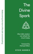 The Divine Spark: Why Celtic Wisdom Can Refresh the Church Today Paperback