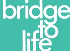 Bridge to Life (25 Pack) (Green) Booklet