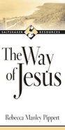 Saltshaker Resources: The Way of Jesus Paperback