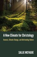 A New Climate For Christology eBook