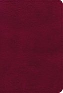 NASB Large Print Compact Reference Bible Burgundy (Red Letter Edition) Imitation Leather