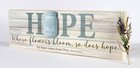 Mason Jar Word Box: Hope Mdf (Psalm 62:5) Plaque