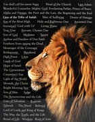 Wall Chart: Lion of Judah: Names of Christ (Laminated) Poster