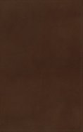 NASB Thinline Bible Brown Premier Collection Gauffered Edges 2020 Text (Black Letter Edition) Genuine Leather