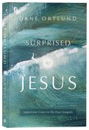 Surprised By Jesus: Subversive Grace in the Four Gospels Paperback