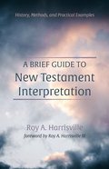 A Brief Guide to New Testament Interpretation Paperback