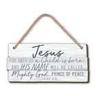 Christmas Ornament: Jesus, Stacked Wood, Natural Gray (Mdf) Homeware